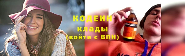 хмурый Абаза
