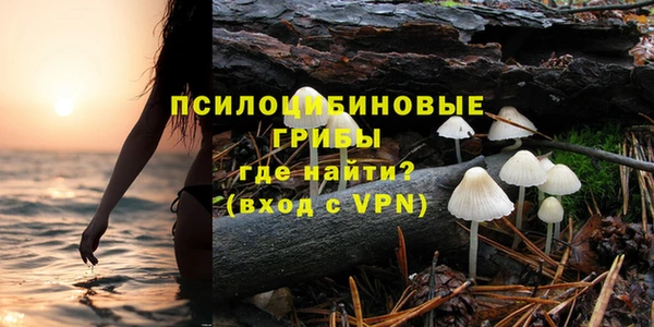 не бодяженный Алзамай
